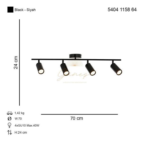 Ray 4 lü Siyah Modern Avize