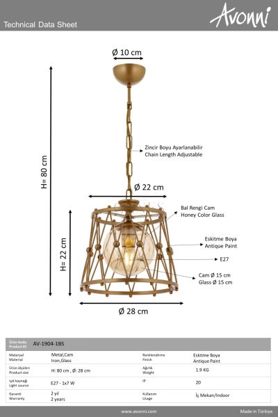 Eskitme Boyalı Modern Avize AVONNI AV-1904-1BSA