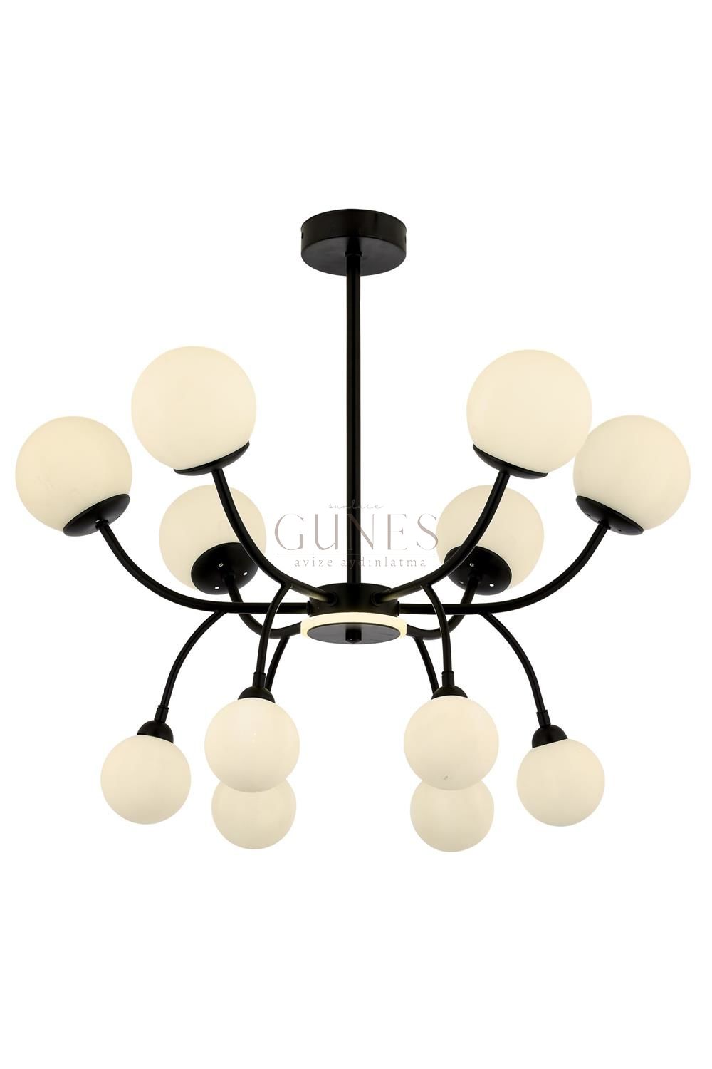 Siyah Boyalı Modern Avize AVONNI AV-1894-12BSY