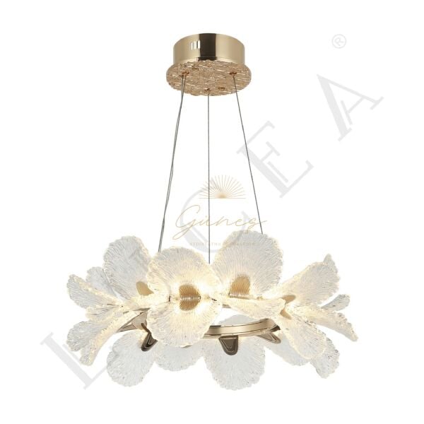 RAMIERA K.BOY LEDLI AVIZE 3000K 70W