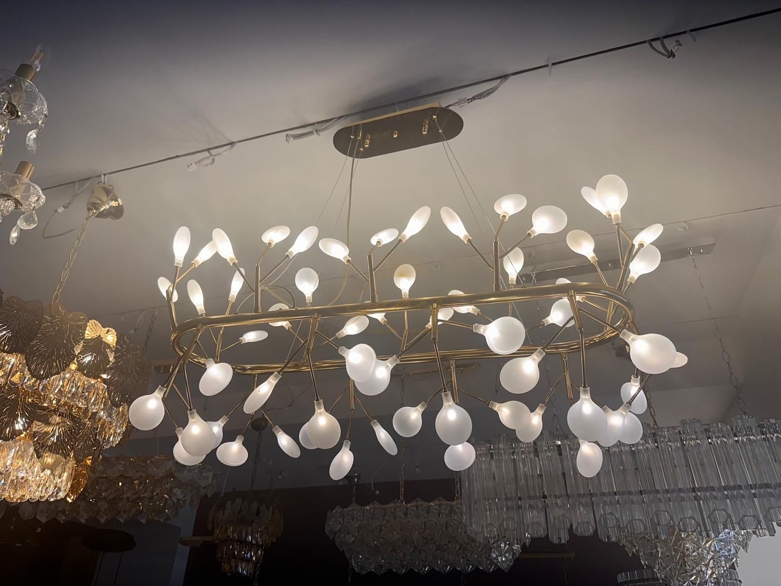 PAPATYA MODEL Y. MASASI